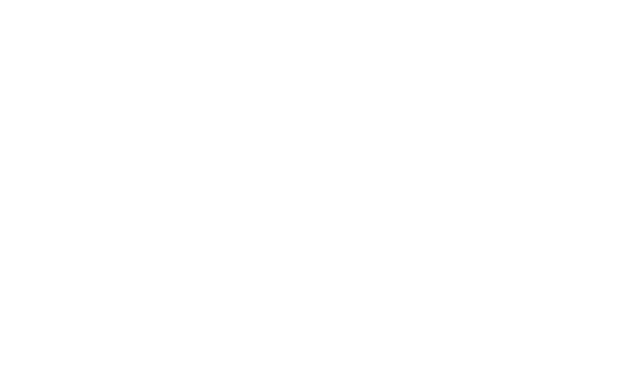 BREYE TRADE Logo